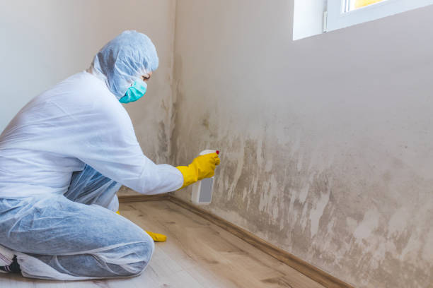 Mold Remediation specialist working in Glassboro