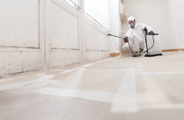 Black mold remediation team in Glassboro